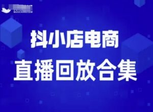 短视频电商:抖小店变现从0到盈利过直播回放-淘金日记
