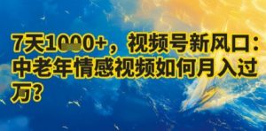 7天收益1k+，视频号新风口：中老年情感视频如何月入过W?-淘金日记