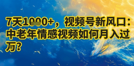 7天收益1k+，视频号新风口：中老年情感视频如何月入过W?-淘金日记