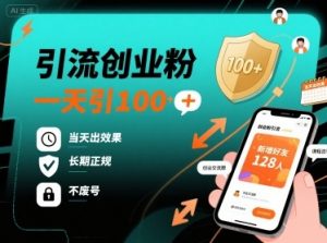 引流创业粉，一天引100+，当天出效果，长期正规，不废号-淘金日记