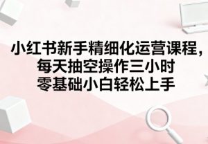 小红书新手精细化运营课程，每天抽空操作三小时，零基础小白轻松上手-淘金日记