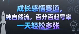 成长感悟赛道，纯自然流，百分百起号率 一天轻松多张-淘金日记