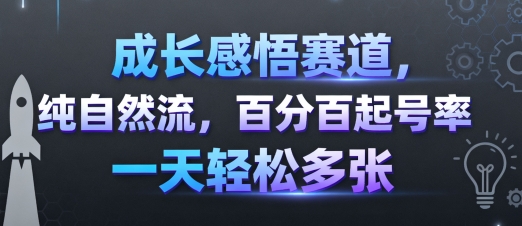 成长感悟赛道，纯自然流，百分百起号率 一天轻松多张-淘金日记