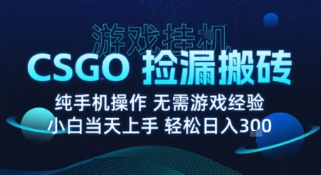 8月最新游戏搬砖，CSGO纯挂G，不需要玩游戏，实现真挂G，月入1W+【揭秘】-淘金日记