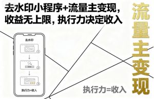 去水印小程序+流量主变现,收益无上限,执行力决定收入-淘金日记