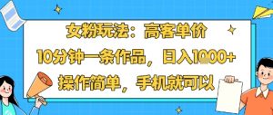 女粉玩法：高客单价，10分钟一条作品，日入1k+操作简单，手机就可以-淘金日记