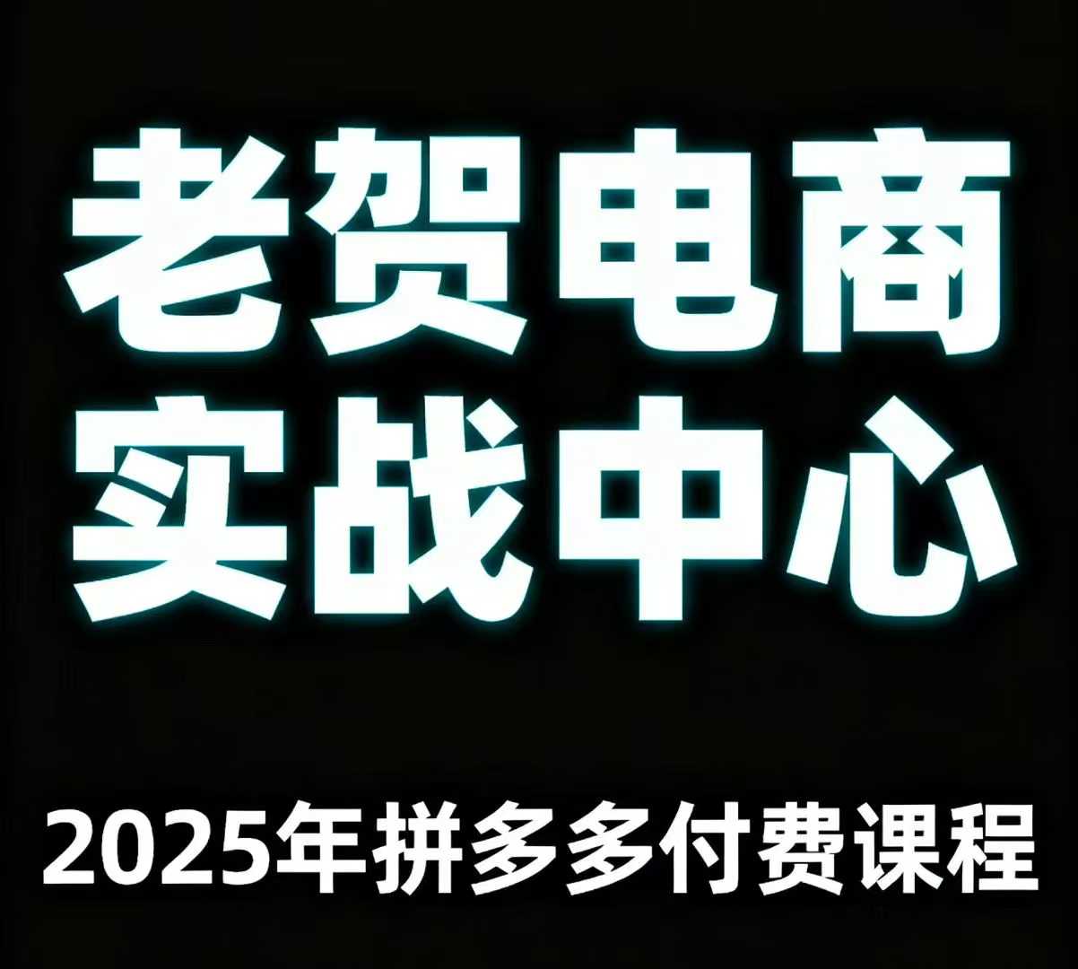 老贺电商2025年拼多多付费课程，用通俗易懂的方法告诉你多多怎么玩-淘金日记
