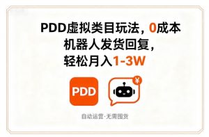 PDD虚拟类目玩法,0成本,机器人发货回复,轻松月入1-3W-淘金日记