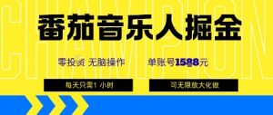 番茄音乐人掘金，单账号最高可撸1k+，可无限矩阵去做，零投入-淘金日记