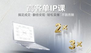 高客单IP课，搞定成交，搞定高客单IP，翻倍变现，轻松卖爆，不销而销-淘金日记