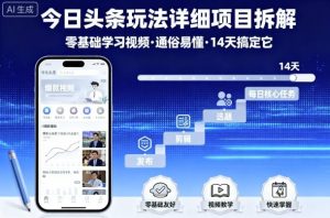 今日头条玩法详细项目拆解，零基础学习视频 通俗易懂 14天搞定它-淘金日记
