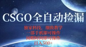 CSGO自动捡漏项目,最新独家玩法,一个手机即可操作,新手小白轻松月入1W+,操作简单易上手【揭秘】-淘金日记