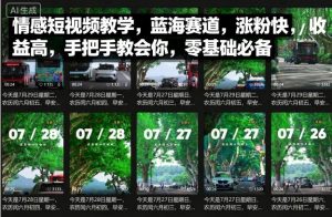 情感短视频教学,蓝海赛道,涨粉快,收益高,手把手教会你,零基础必备-淘金日记