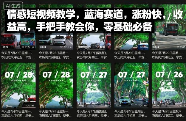 情感短视频教学,蓝海赛道,涨粉快,收益高,手把手教会你,零基础必备-淘金日记