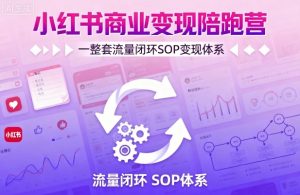 小红书商业变现陪跑营,轻IP矩阵 私域获客 聚光投流,一整套流量闭环SOP变现体系-淘金日记