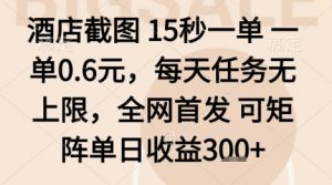 酒店截图项目,15秒一单,一单0.6米,每天任务无上限,全网首发可矩阵单日收益3张+【揭秘】-淘金日记