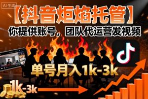 【抖音炬焰托管】你提供账号,团队代运营发视频,单号月入1k+【揭秘】-淘金日记
