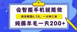 手机项目,二十秒一单,纯薅羊毛一天2张+做就有【揭秘】-淘金日记