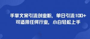手掌文案引流创业粉,单日引流100+,可适用任何行业,小白轻松上手-淘金日记