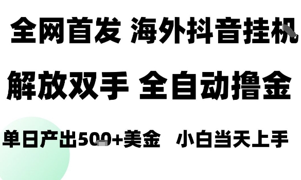 海外抖音无人直播,单日产出1.5k+,长期稳定,新手可玩,无脑操作【揭秘】-淘金日记