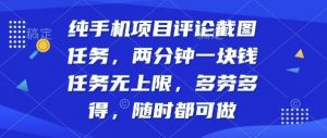 纯手机项目评论截图任务,两分钟一块钱多劳多得,随时随地都能做【揭秘】-淘金日记