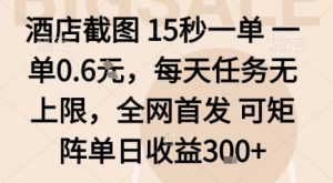 酒店截图15秒一单，一单0.6米，每天任务无上限，全网首发可矩阵单日收益3张【揭秘】-淘金日记