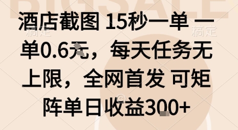酒店截图15秒一单，一单0.6米，每天任务无上限，全网首发可矩阵单日收益3张【揭秘】-淘金日记