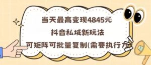 当天最高变现1k+，抖音私域新玩法，可矩阵可批量复制-淘金日记