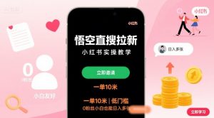 悟空直搜拉新小红书实操教学，一单10米，低门槛，0粉丝小白也能日入多张-淘金日记