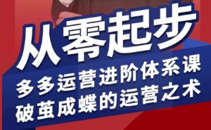 拼多多运营进阶系统课，从零起步，多多运营进阶体系课，破茧成蝶的运营之术（更新9月）-淘金日记