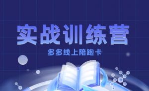 多多实战训练营,从0到1打造一个真正賺钱的店铺-淘金日记