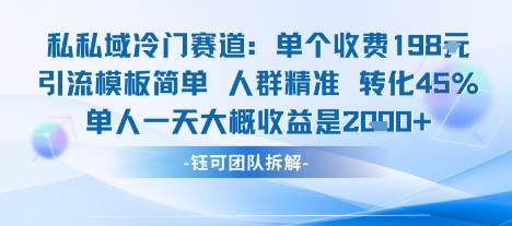 私域冷门赛道单个收费198米引流模板简单人群精准 45%的转化率单人一天大概收益多张-淘金日记