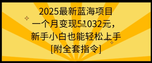 2025最新蓝海项目一个月变现1w+新手小白也能轻松上手【附全套指令】-淘金日记