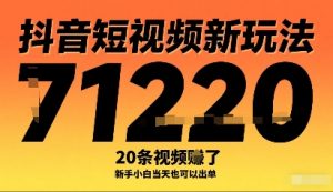 抖音短视频新玩法，20条视频挣了1w+，新手小白当天也可以出单-淘金日记