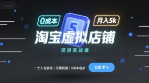 淘宝虚拟店铺项目实战课，一个人也能做，无需货源、0成本起步，月入5k-淘金日记