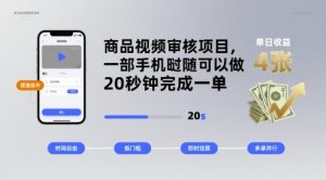 商品视频审核项目,一部手机随时随地都可以做,20秒钟完成一单,单日收益 4张【揭秘】-淘金日记