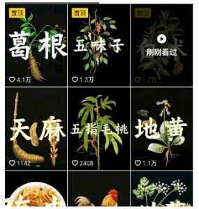 抖音中草药赛道,用AI做中草药故事视频,45条作品涨粉13W,橱窗带货猛猛出单-淘金日记