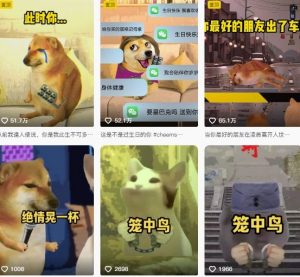 狗头幸运星UE5动画全套课程,从入门到实操全掌握-淘金日记