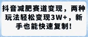 抖音减肥赛道变现,两种玩法轻松变现3W+,新手也能快速复制-淘金日记