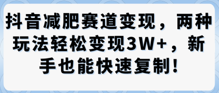 抖音减肥赛道变现，两种玩法轻松变现3W+，新手也能快速复制-淘金日记