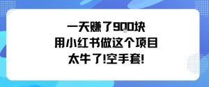 一天挣了9张用小红书做这个项目太牛了，空手套-淘金日记