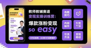教师教辅赛道变现实操训练营,爆款涨粉变现so easy-淘金日记