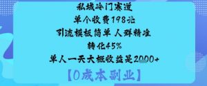 私域冷门赛道:单个收费198米引流模板简单人群精准转化45%单人一天大概收益是1k+-淘金日记