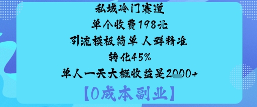 私域冷门赛道:单个收费198米引流模板简单人群精准转化45%单人一天大概收益是1k+-淘金日记