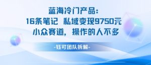 蓝海项目：16条笔记私域变现9750米小众赛道操作的人不多-淘金日记