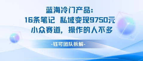蓝海项目：16条笔记私域变现9750米小众赛道操作的人不多-淘金日记