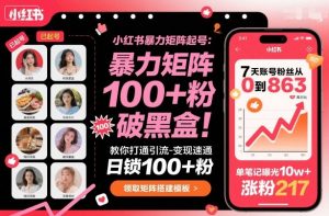 小红书暴力矩阵起号，教你打通引流-变现速通，日锁100+粉，破流量黑盒-淘金日记