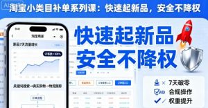 淘宝小类目补单系列课,快速起新品,安全不降权-淘金日记