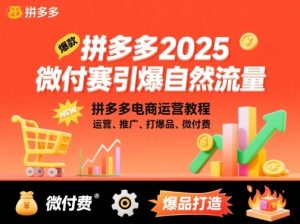 拼多多2025微付费引爆自然流量,拼多多电商运营教程,运营、推广、打爆品、微付费(更新)-淘金日记