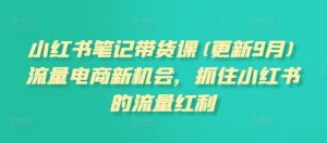 小红书笔记带货课(更新25年9月)流量电商新机会，抓住小红书的流量红利-淘金日记